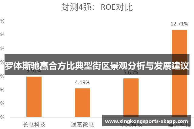 罗体斯驰赢合方比典型街区景观分析与发展建议