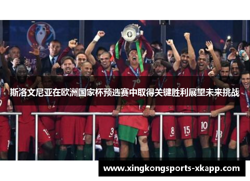 斯洛文尼亚在欧洲国家杯预选赛中取得关键胜利展望未来挑战