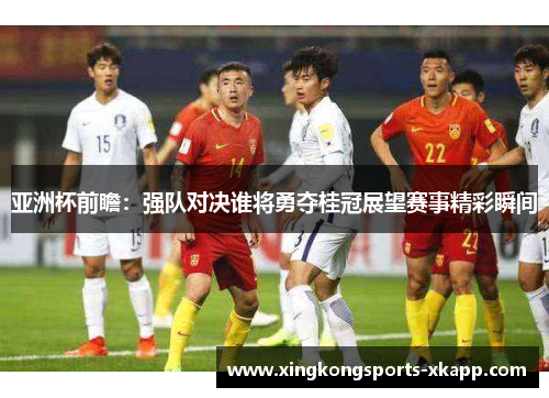 亚洲杯前瞻：强队对决谁将勇夺桂冠展望赛事精彩瞬间
