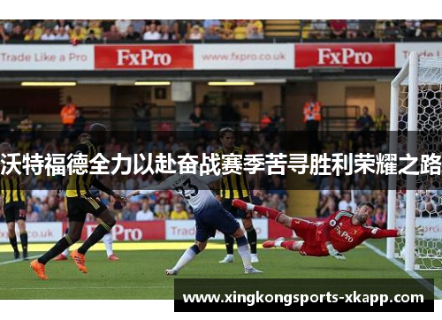 沃特福德全力以赴奋战赛季苦寻胜利荣耀之路