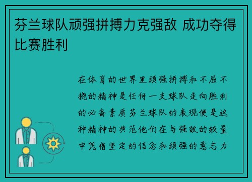 芬兰球队顽强拼搏力克强敌 成功夺得比赛胜利